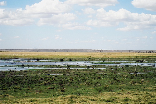Kenia (238)